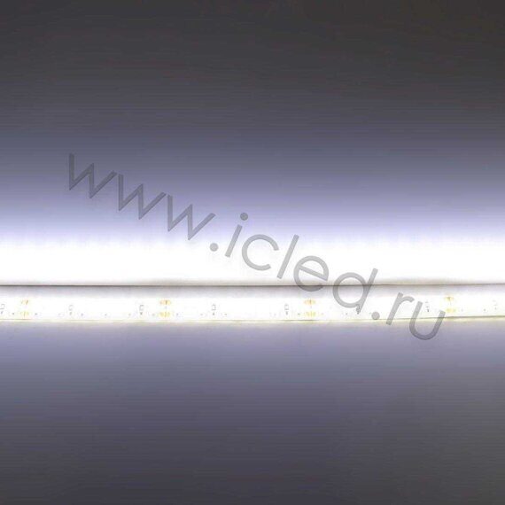 Светодиодная лента Standart PRO class, 3528, 120 led/m, 24V, 4000K, IP65